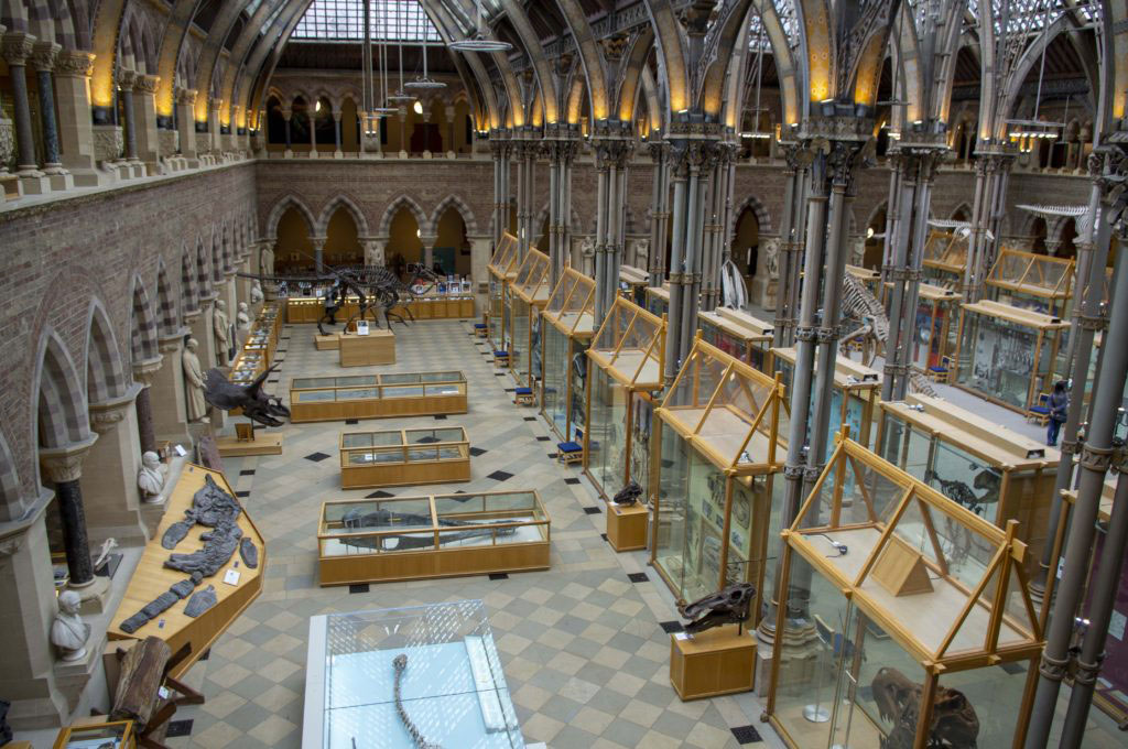 Oxford University Museum of Natural History4