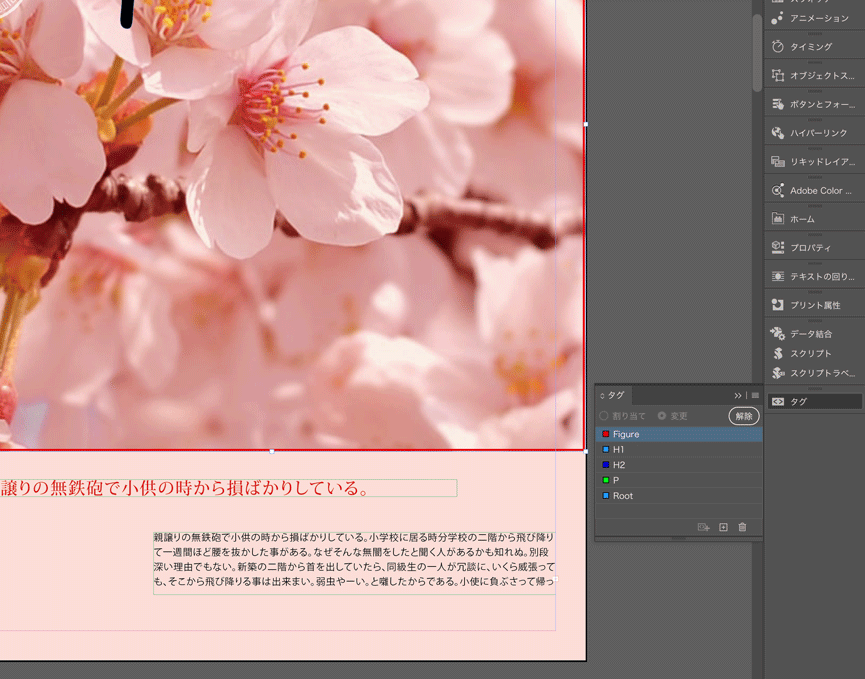 Tagged_PDF_InDesign2